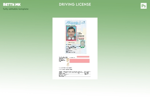 модерен стил САД Тенеси возачка дозвола под шаблон